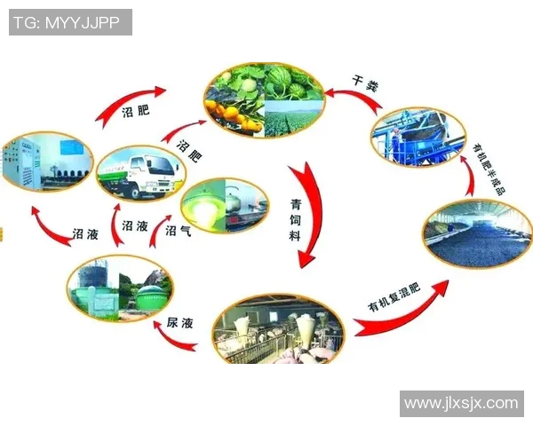 果园里的四季变迁与农业可持续发展的探索与实践