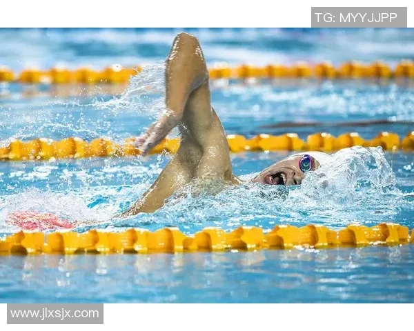 系统化自由泳训练计划 提升速度与耐力的全面方案